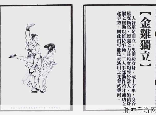 九阴真经深度解析，少林升级与锦衣卫速升秘籍