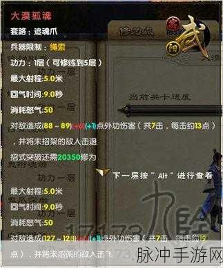 九阴真经深度解析,少林升级与锦衣卫速升秘籍