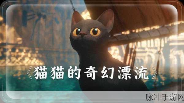 白猫探险新纪元，神秘宇宙飞船逃脱之旅等你来战