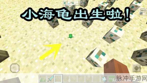 我的世界海龟养殖全攻略，打造你的海洋乐园