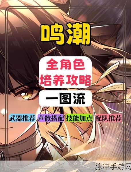 鸣潮四星迅刀行进序曲，追风哥哥的独家武器深度剖析