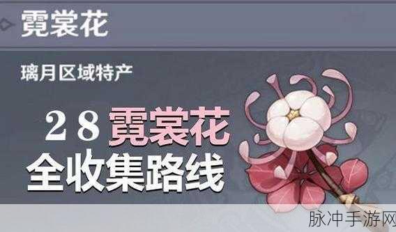原神武人的花获取全攻略