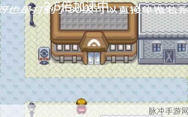 口袋妖怪漆黑的魅影,送神山脉老头对话后的探险全攻略