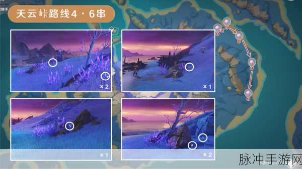 原神雷神突破必备，天云草实全收集攻略