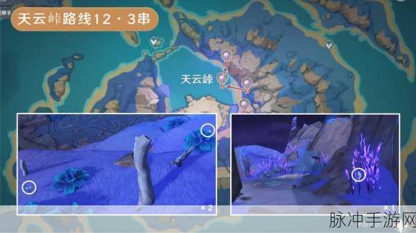 原神雷神突破必备,天云草实全收集攻略
