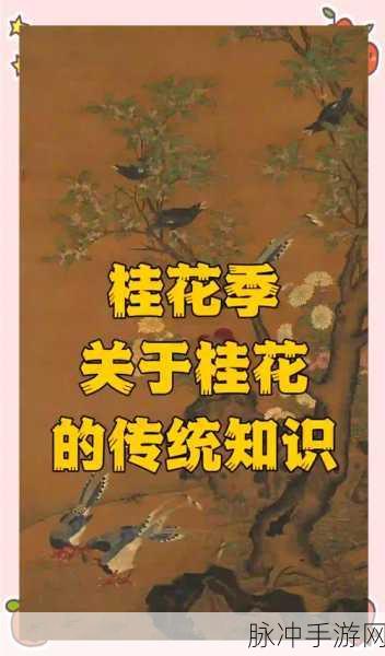 烟雨江湖桂花酒,多重功效与文化韵味深度探索