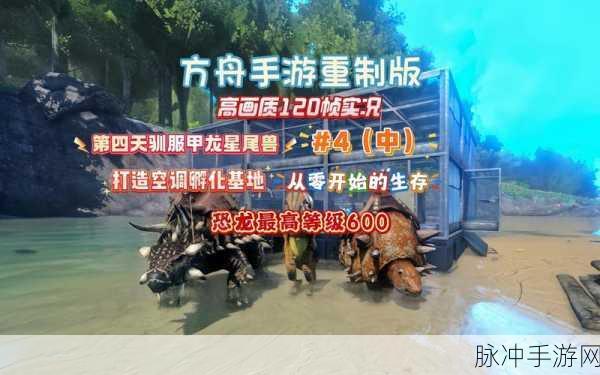 方舟仙境冰龙驯服秘籍，解锁从新手到大师的蜕变之旅