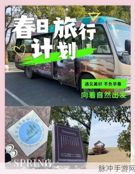 探索避暑仙境，驾驶巴士畅游山区小镇