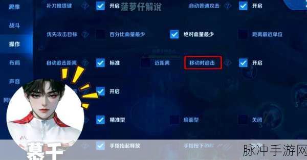 王者荣耀画面调整秘籍,轻松应对屏幕过大问题