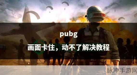 绝地求生卡顿难题?教你几招轻松解决!