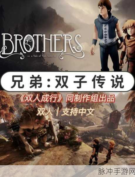 兄弟双子传说，指尖上的默契与冒险深度剖析