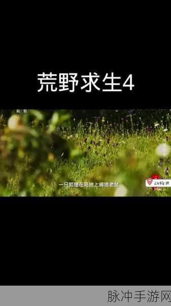 荒岛求生100天,挑战极限,开启你的生存冒险之旅