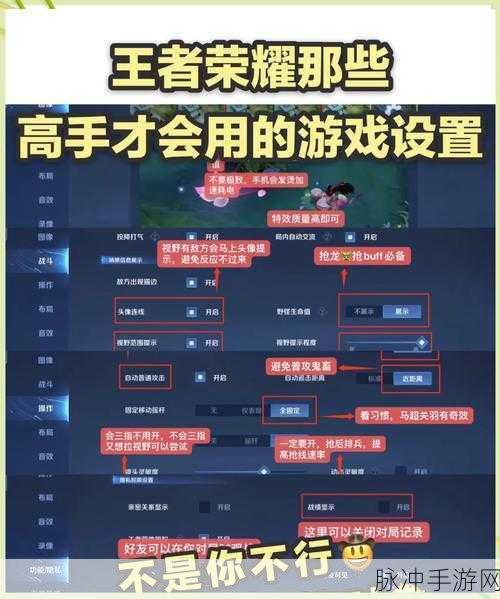 王者荣耀，轻松调整，让你的视角更远更宽广