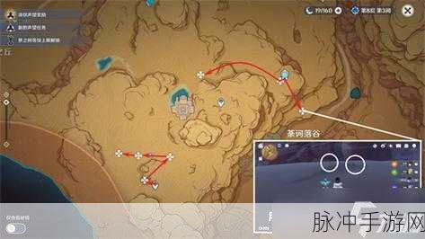 原神探秘，沙漠圣金虫，解锁黄金宝藏的奥秘