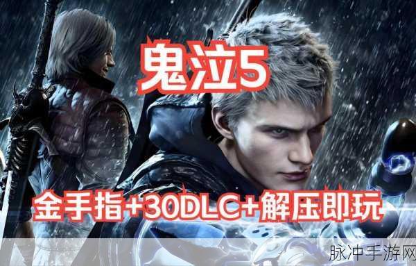 鬼泣5绝技揭秘，手臂武器切换秘籍，助你登顶战斗巅峰！