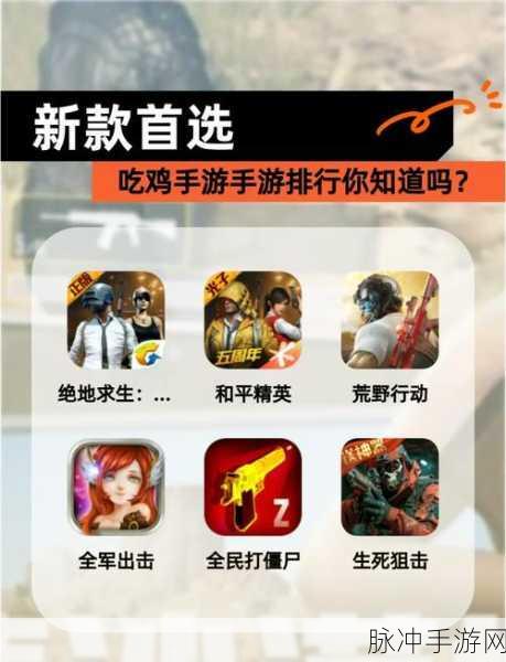 和平精英,揭秘好友记录,重拾昔日战友情谊