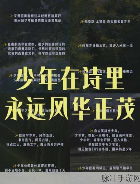 热血少年，挑战无限，智闯奇关的休闲新选择