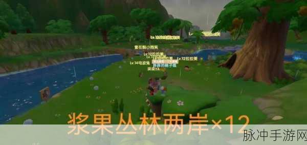 摩尔庄园，揭秘地火晶石的神奇效用