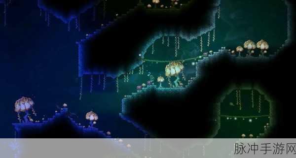 泰拉瑞亚金币传送门，揭秘探索神秘世界的终极捷径