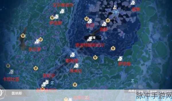 幻塔虫草寻觅记,解锁珍稀资源的秘密地图