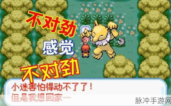 口袋妖怪火红，解锁奇幻之旅的全方位秘籍