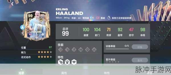 第五人格前锋天赋加点全攻略，冲刺与守护的巅峰演绎