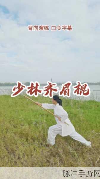 烟雨江湖深度探索,齐眉棍谱威力与招式全解析