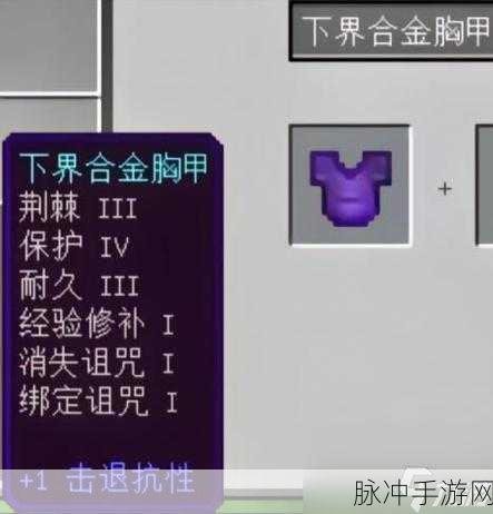 我的世界,揭秘附魔奥秘,指令give开启奇幻魔法之旅