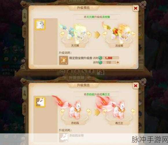 梦幻西游,揭秘全满坐骑对人物属性的极致加成