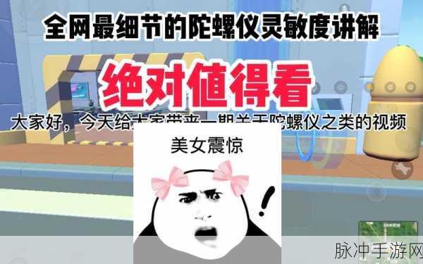 香肠派对陀螺仪灵敏度调整秘籍,打造最稳操作体验