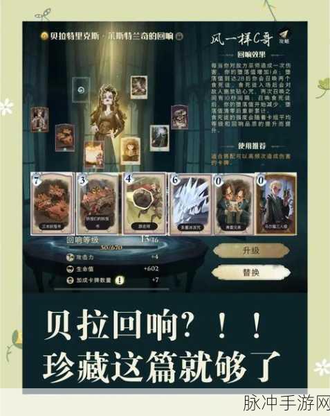 哈利波特,魔法觉醒深度探索——贝拉回响的实战秘籍与策略布局