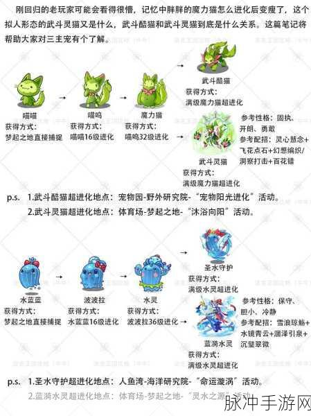 洛克王国修理大考验第三关，解锁智慧与技巧的终极秘籍