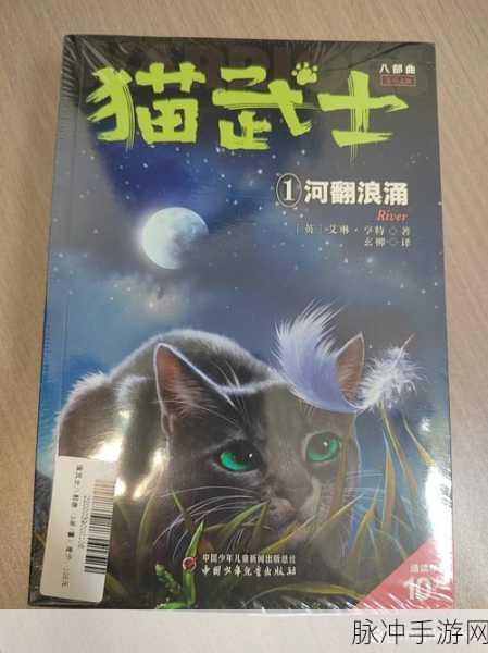 猫武士VS哈利波特，魔法世界的巅峰对决