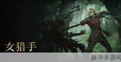 查兰剑影,血色征途,流放之路传奇再续