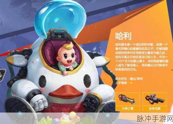 RO手游2025,AD猎人与ID猎人,谁主沉浮?