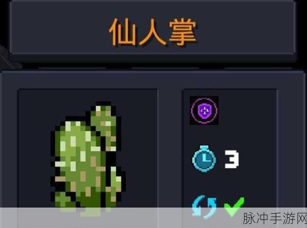 揭秘元气骑士,魔力花的奥秘、种植技巧与实战作用
