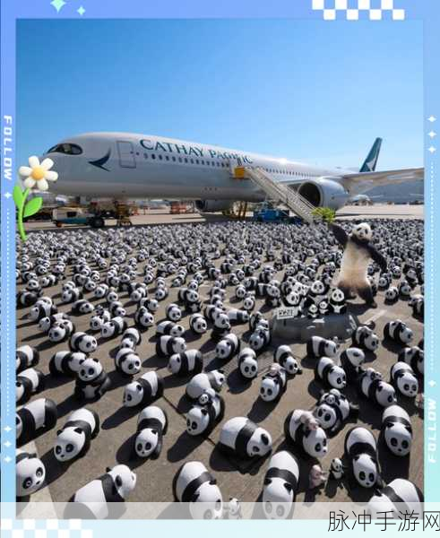 熊猫空袭,萌宠熊猫的空战新纪元等你来战
