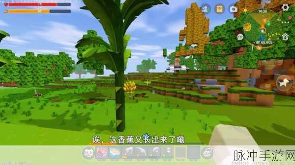 迷你世界养鸡秘籍大公开,打造你的梦幻农场!