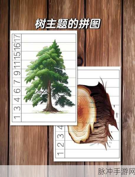 小森生活,探索各大区域的树木分布奥秘
