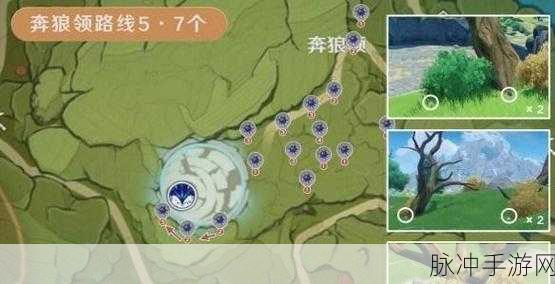 原神探险新篇，揭秘钩钩果背后的秘密宝藏