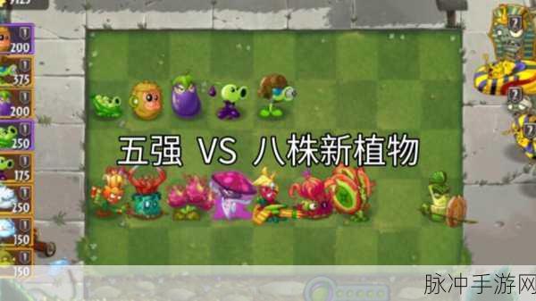 植物大战僵尸2PVZ2植物强度大揭秘