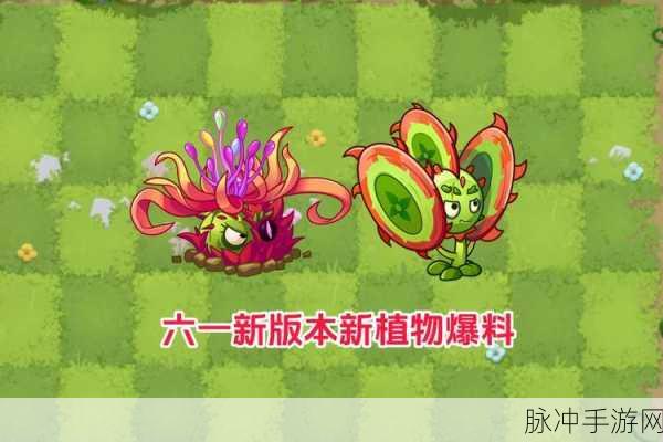植物大战僵尸2PVZ2植物强度大揭秘