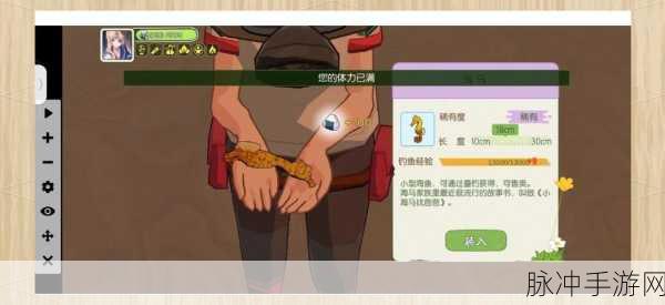 小森生活小丑鱼王获取秘籍，解锁海岛钓鱼新篇章