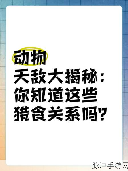 掠食游戏全结局解锁秘籍与达成攻略大揭秘
