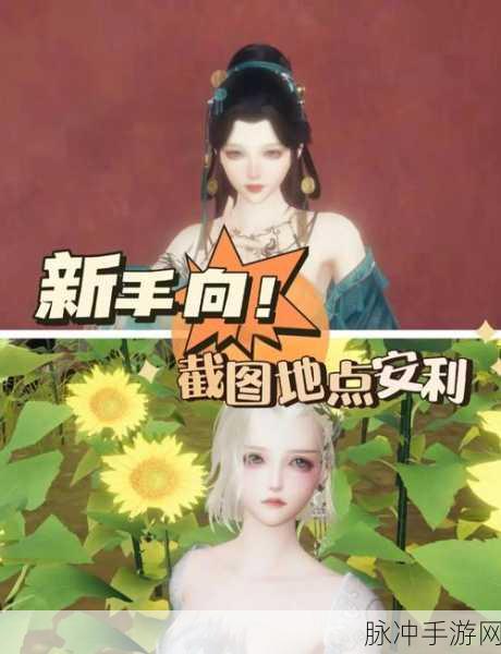 剑侠情缘手游深度攻略，新手蜕变高手的全方位导航