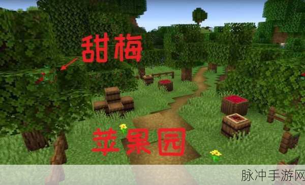 我的世界苹果园奇遇，解锁无限资源，苹果轻松摘！