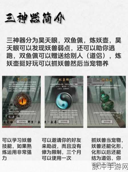 鬼谷八荒武圣转世深度解析,属性与搭配秘籍