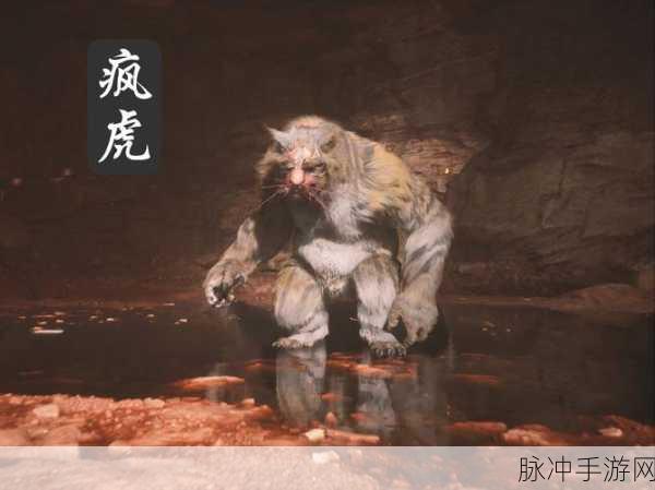 河洛群侠传,揭秘黑虎王的强大之处