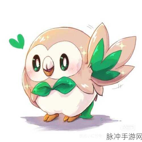 口袋妖怪究极绿宝石，木木枭的进化之旅