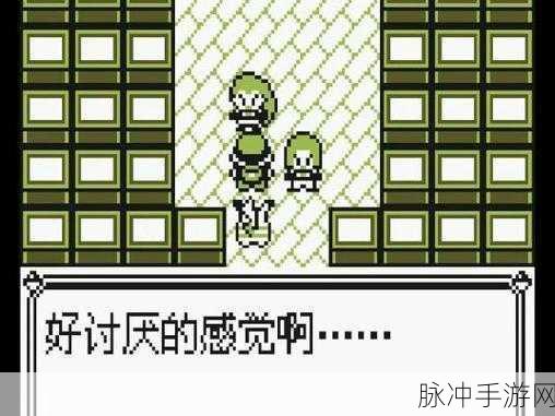 紫苑镇迷雾，解锁宝可梦塔的秘密通道